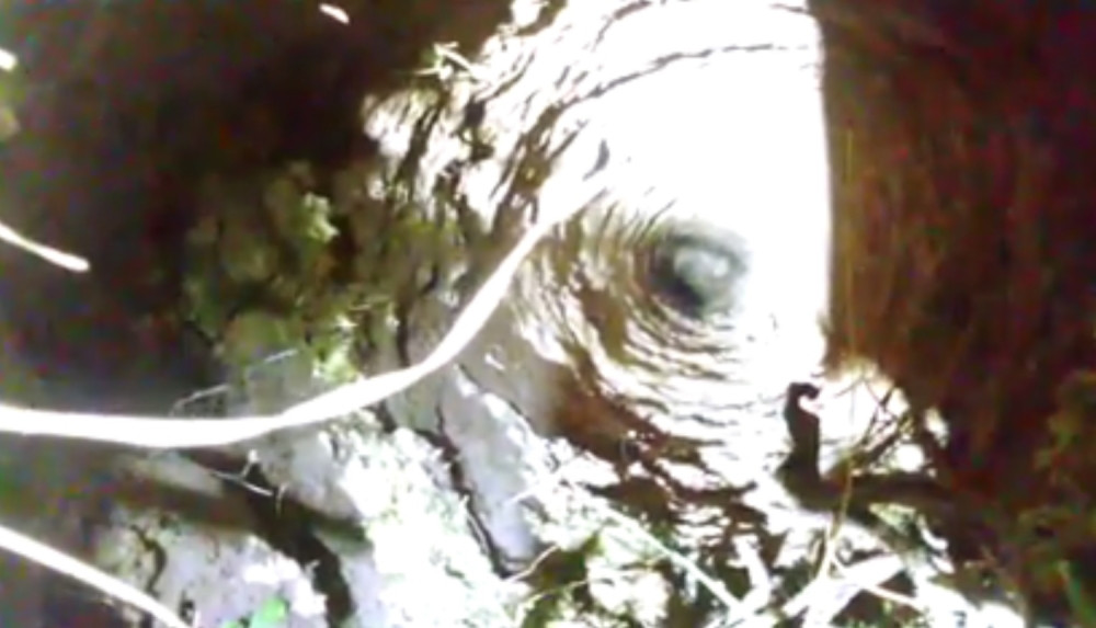 Prijavili da je nestala, pa njeno telo našli u septičkoj jami!