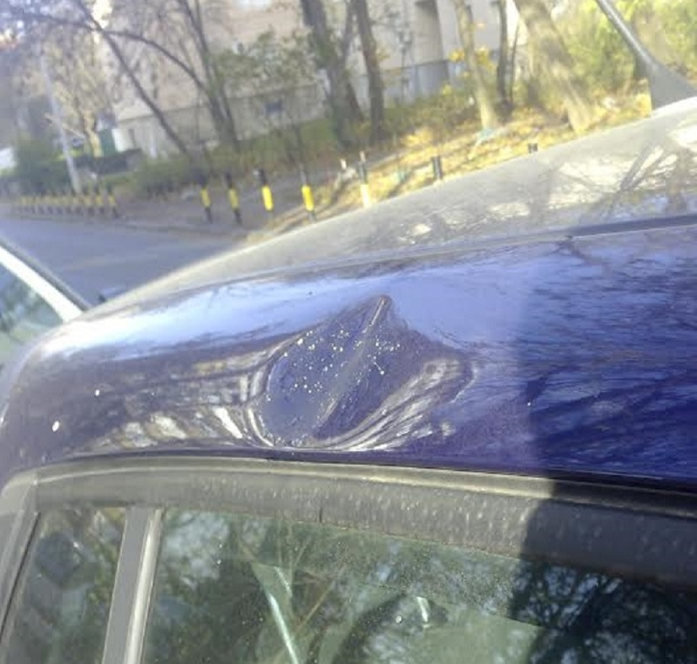 Plod od 700 grama Beograđaninu razbio kola!