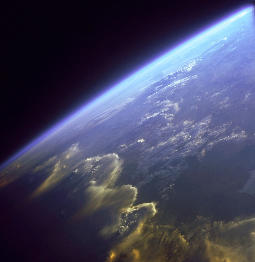 Poremetiće se čitav lanac ishrane, ljudi širom sveta u panici! (FOTO)