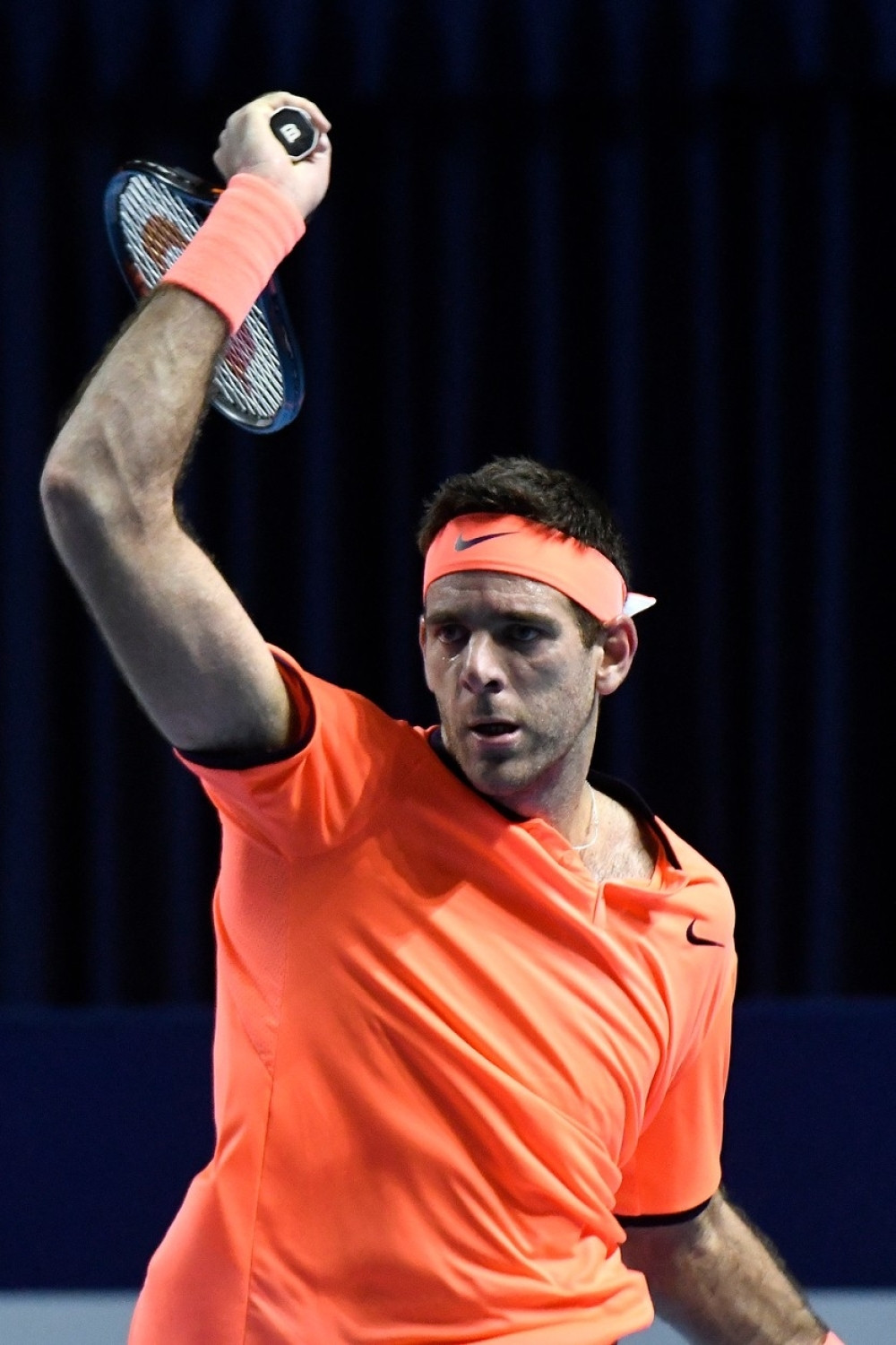 Del Potro preko Nišikorija do Đokovića