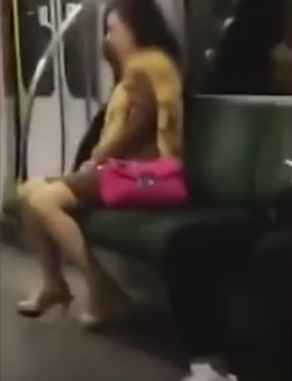 Žena masturbirala u vozu, putnici šokirani! (VIDEO)