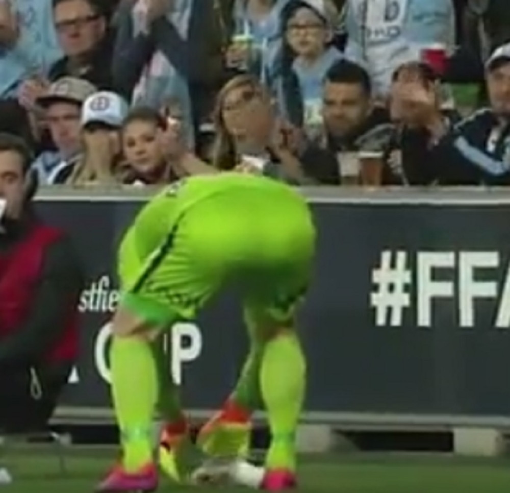 Australijski Srbin spasao pticu, ona rekla: "Dobro sam"