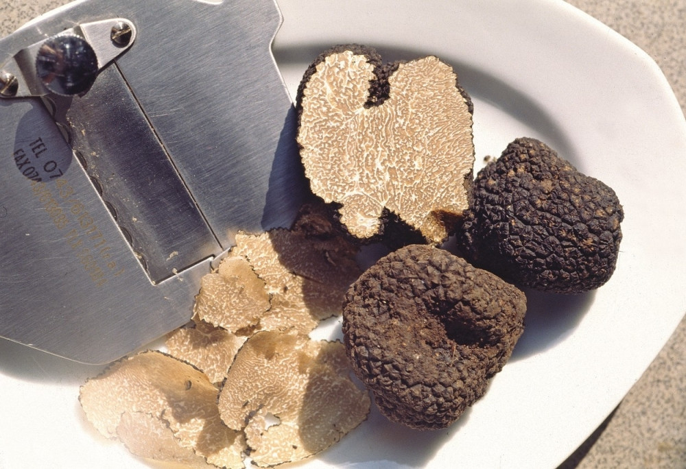 Dve Srpkinje su se odrekle svega i krenule u avanturu sa tartufima