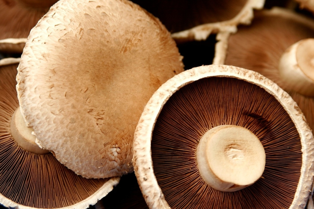 Najzdravije namirnice na svetu!