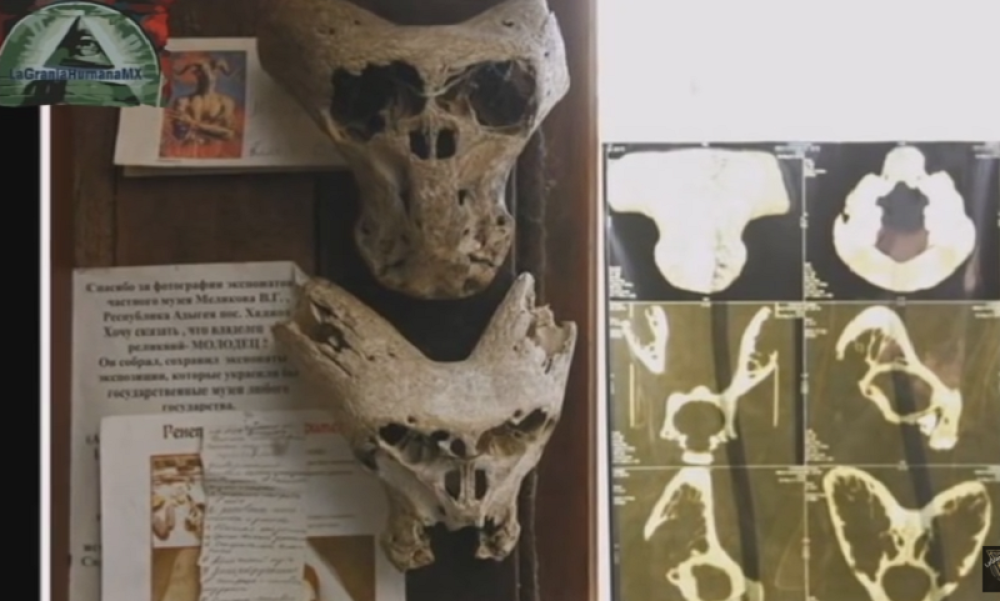 Otkriven nacistički kovčeg s lobanjama misterioznih bića!