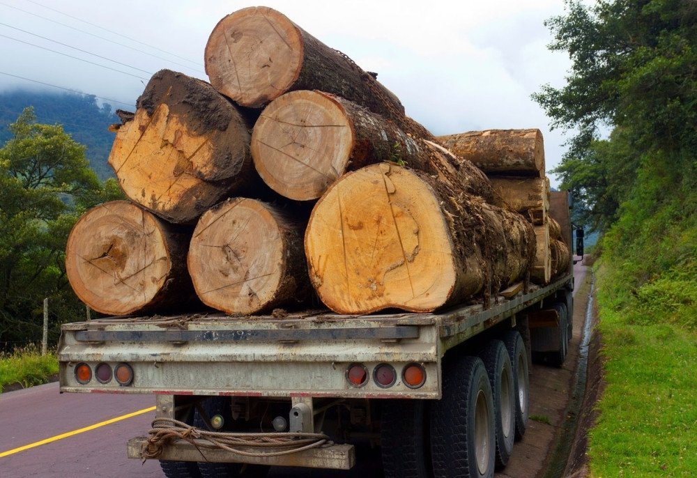 Kamiondžija iz Novog Pazara prevozio DRVA, pokušao da PODMITI POLICIJU, a ono što su mu pronašli SKUPO ĆE GA KOŠTATI!
