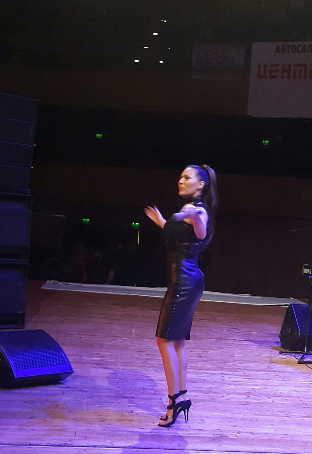 Ceca zapalila Bugarsku (FOTO)