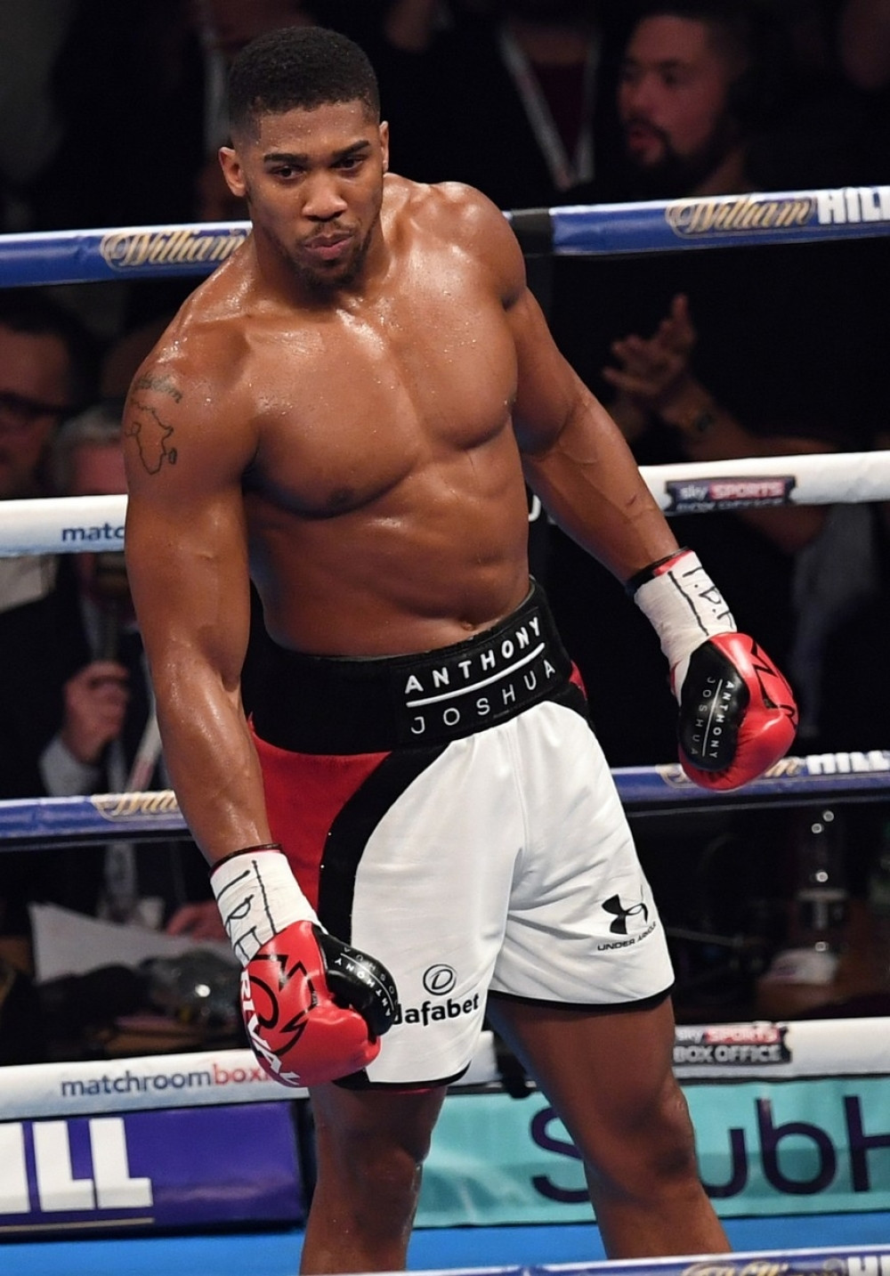 Džošua zakazao meč sa Kličkom!