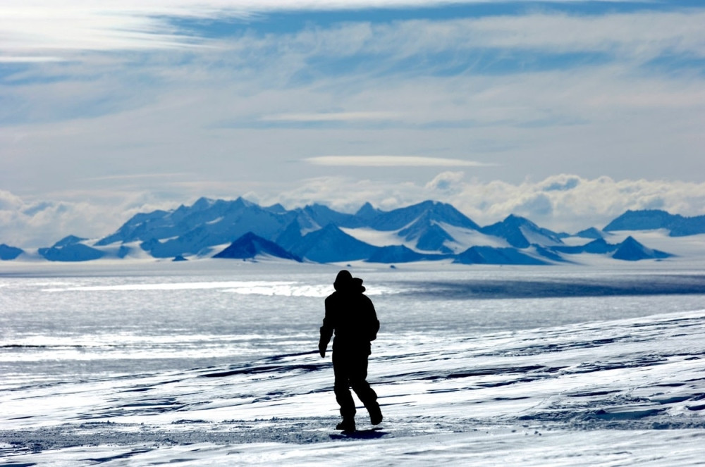 Oboleo od "polarnog penisa"
