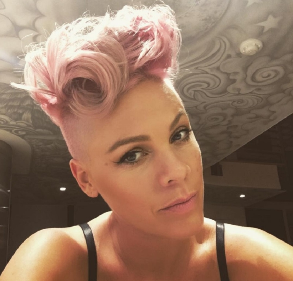 Trudna Pink pozirala u toplesu (FOTO)