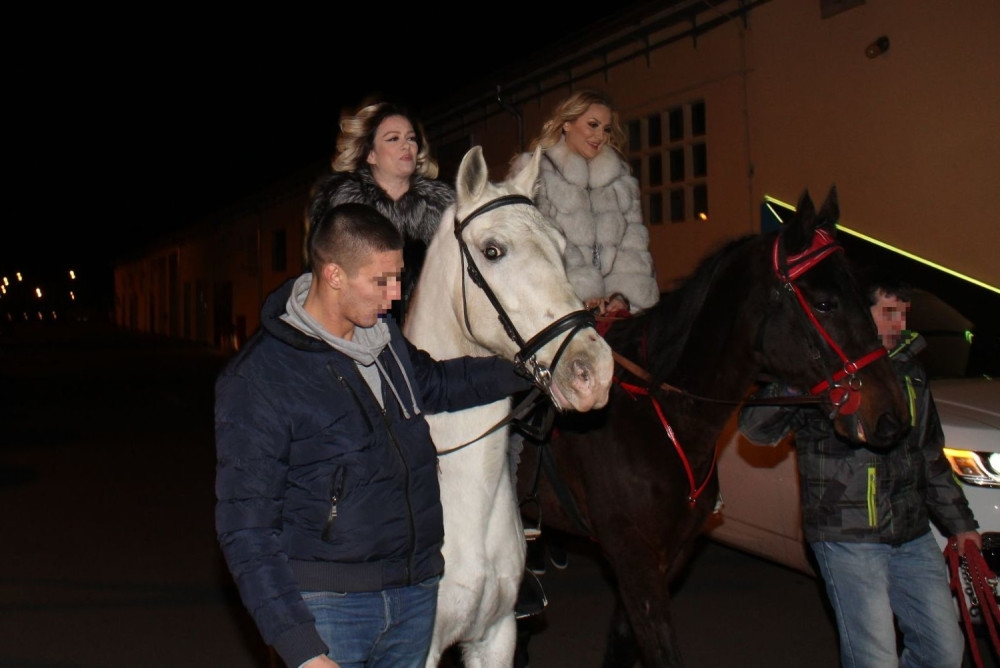 Goca i Ivana dojahale na nastup, ali bukvalno! (VIDEO)