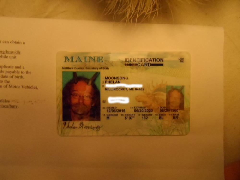 Luđe od ovoga teško da može! (FOTO)