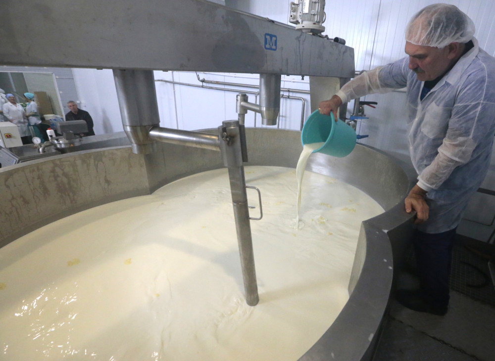 OTKRIVAMO!~Inspekcija šokirana štrokom u mlekarama!