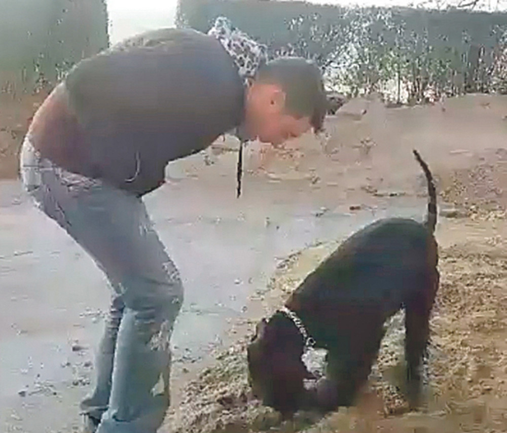 Petar sa psom kopao po blatu