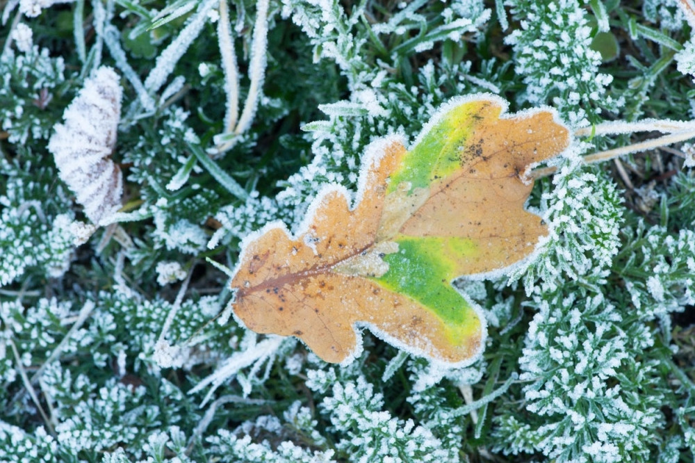 Ujutru hladno sa mrazem, popodne razvedravanje