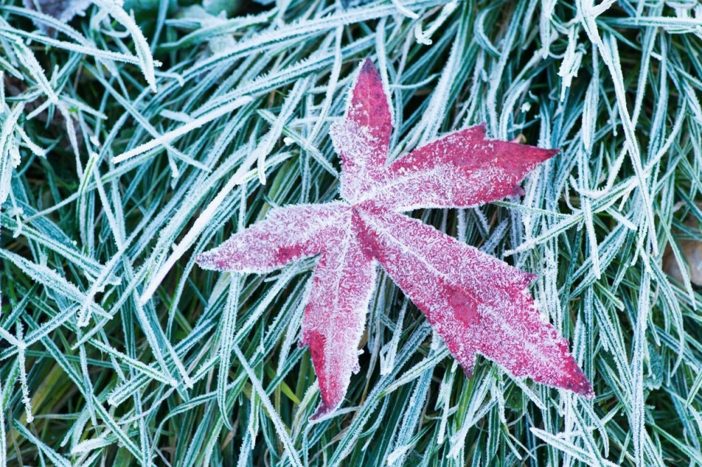 U Argentini dve žrtve hladnog talasa