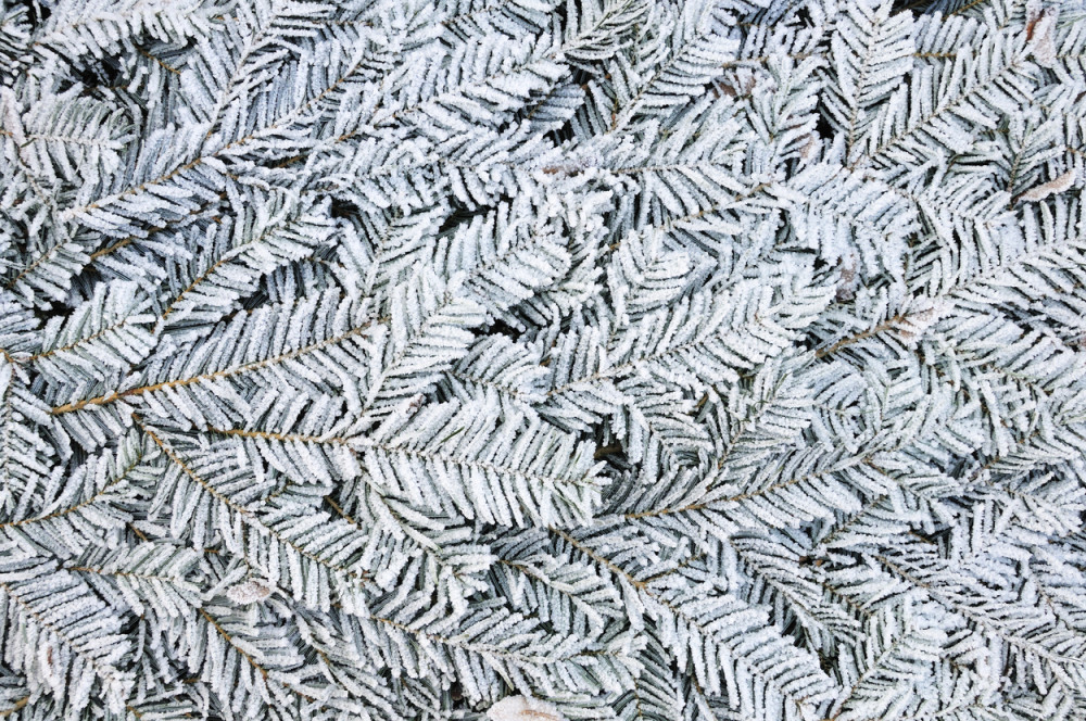 U Srbiji danas hladno i oblačno (VIDEO)