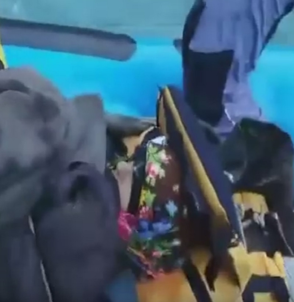 Baka zalutala u kanjonu Tare, a onda se desilo čudo! (VIDEO)