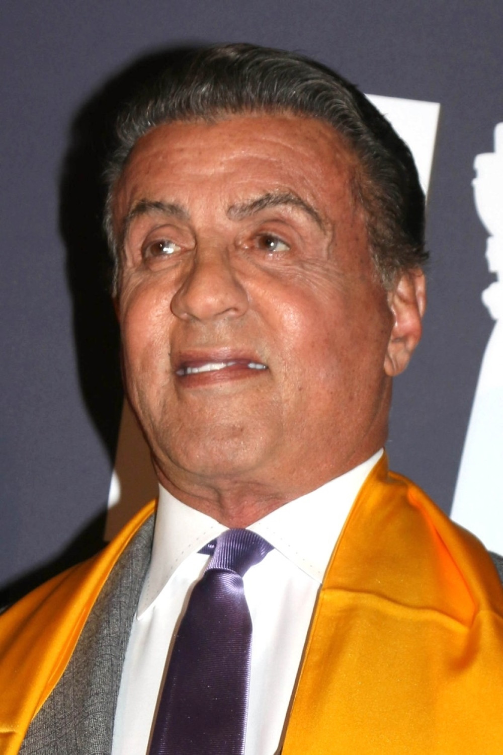 Rambo bi da pomaže ratnim veteranima