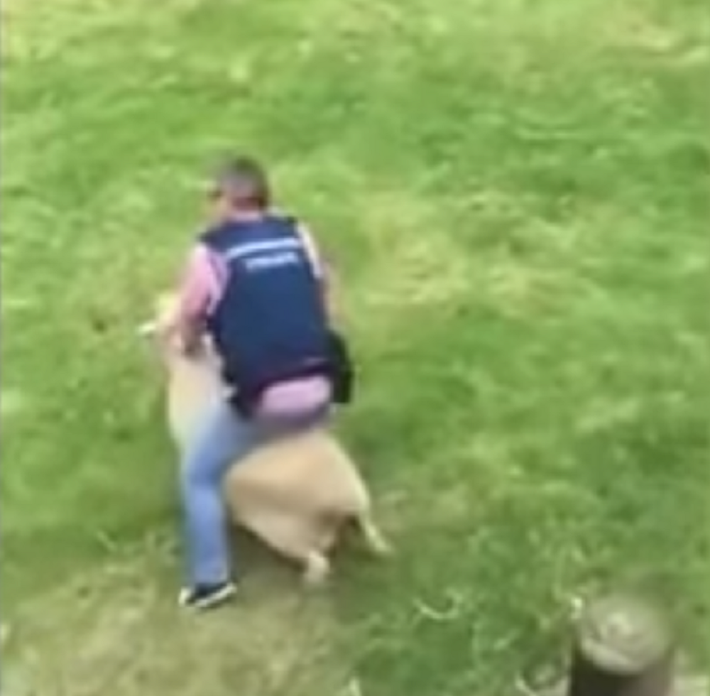 Policajac doživeo nesvakidašnji napad (VIDEO)