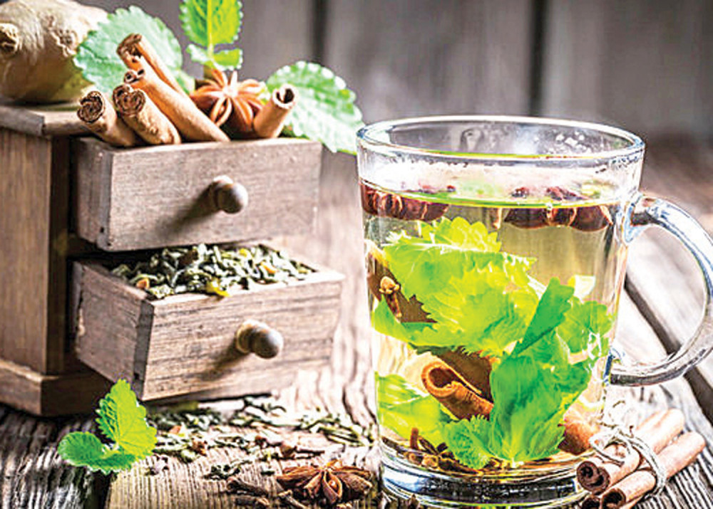 Ovo topi salce, probajte!