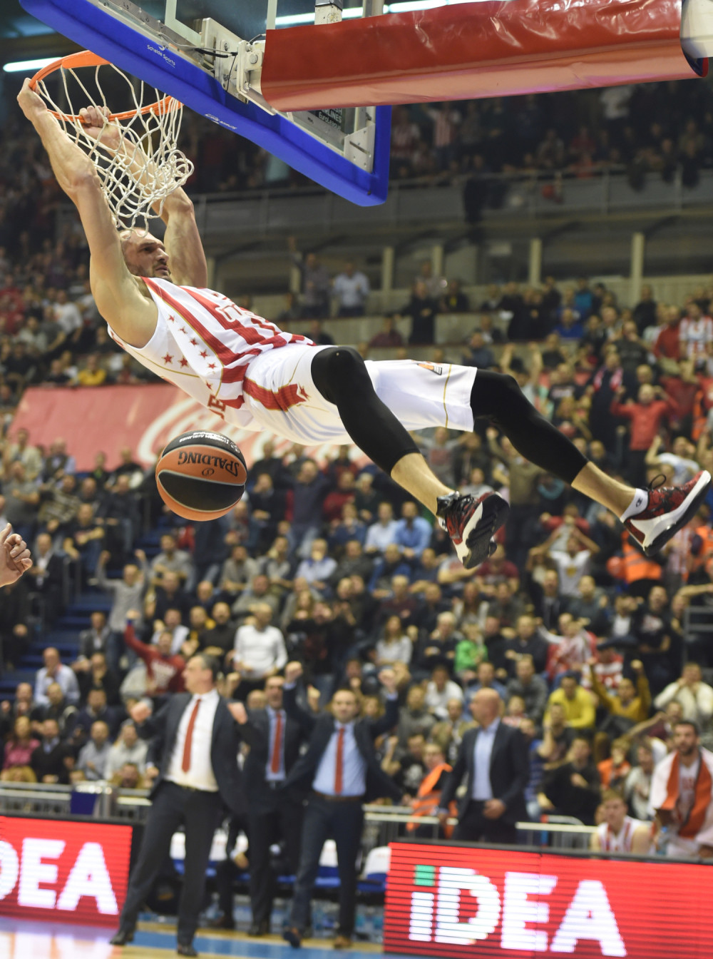 Zvezda srušila "kralja" u Pioniru