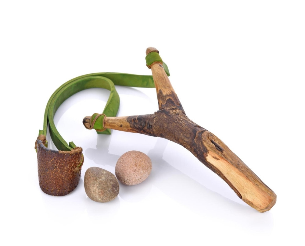 Srbija kupuje praćke, Hrvatska duvaljke!