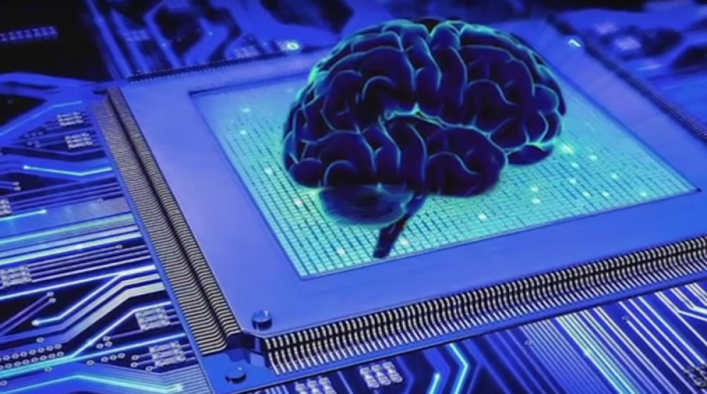 Inteligencija ne zavisi od veličine mozga, bitne su druge stvari