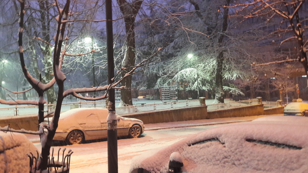 Snežna idila (FOTO)