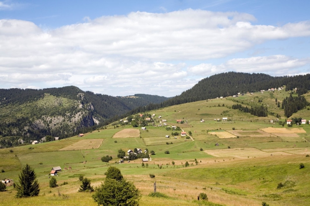 Arapi se šire po Vlašiću