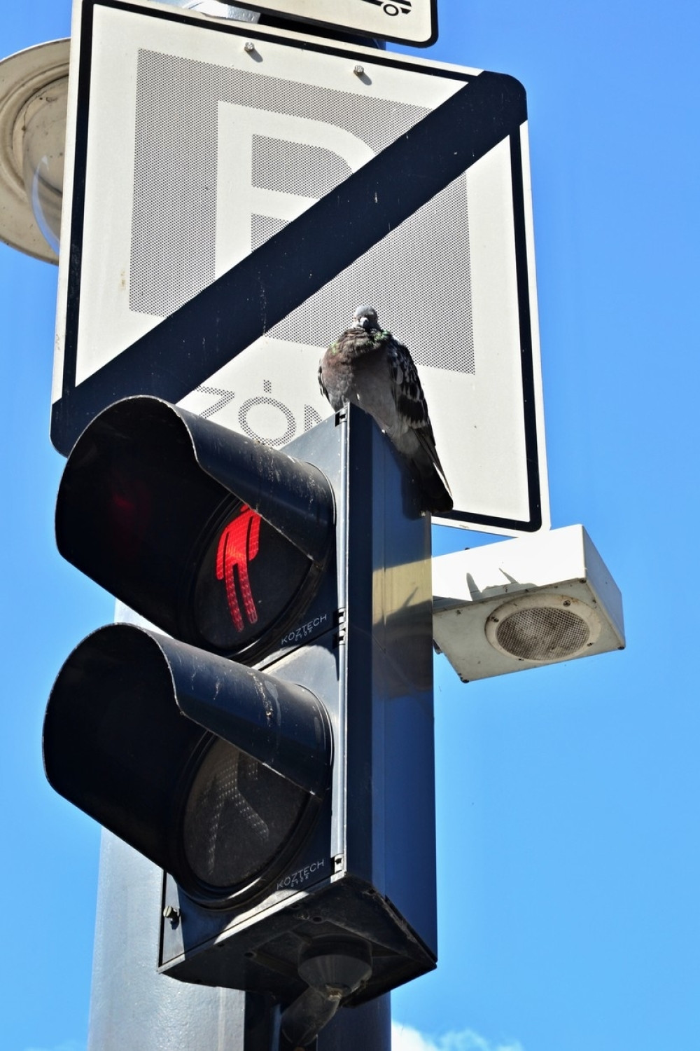 Vozilo na automatski pogon ubilo ženu (FOTO)