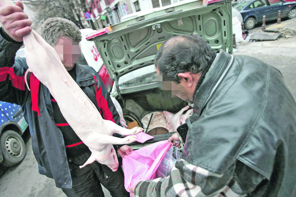 Iz gepeka vrebaju prasići sa crvima!