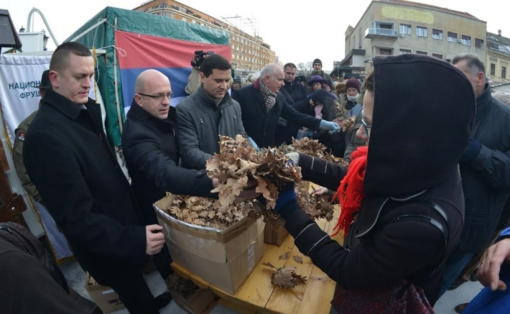 Novosađanima podeljeno 3.000 badnjaka (FOTO)