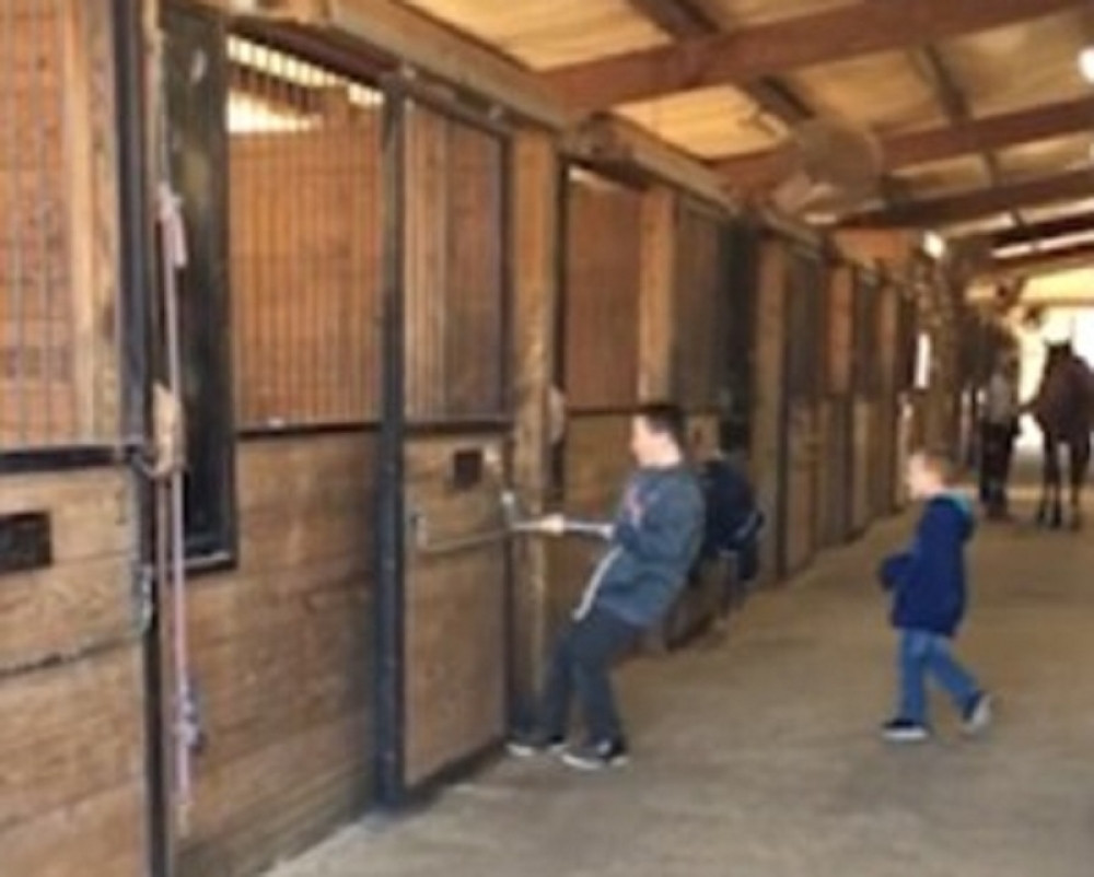 Zbog ove "zveri" se smeje ceo svet! (VIDEO)