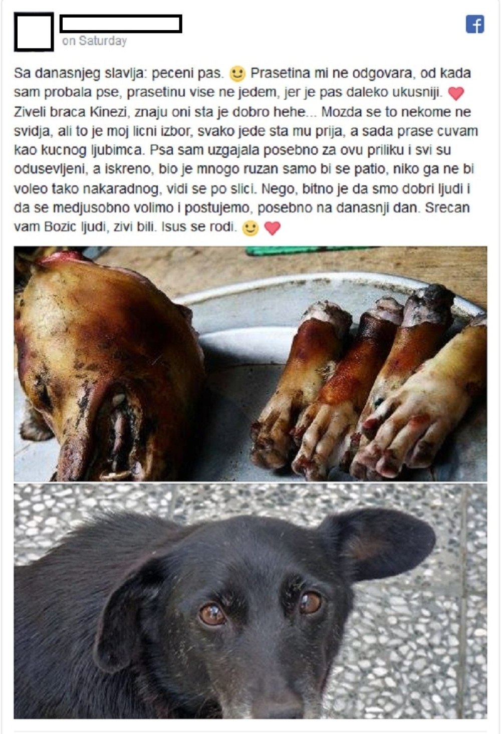 Leskovčanka zapalila internet postom o pečenom psu! (FOTO)