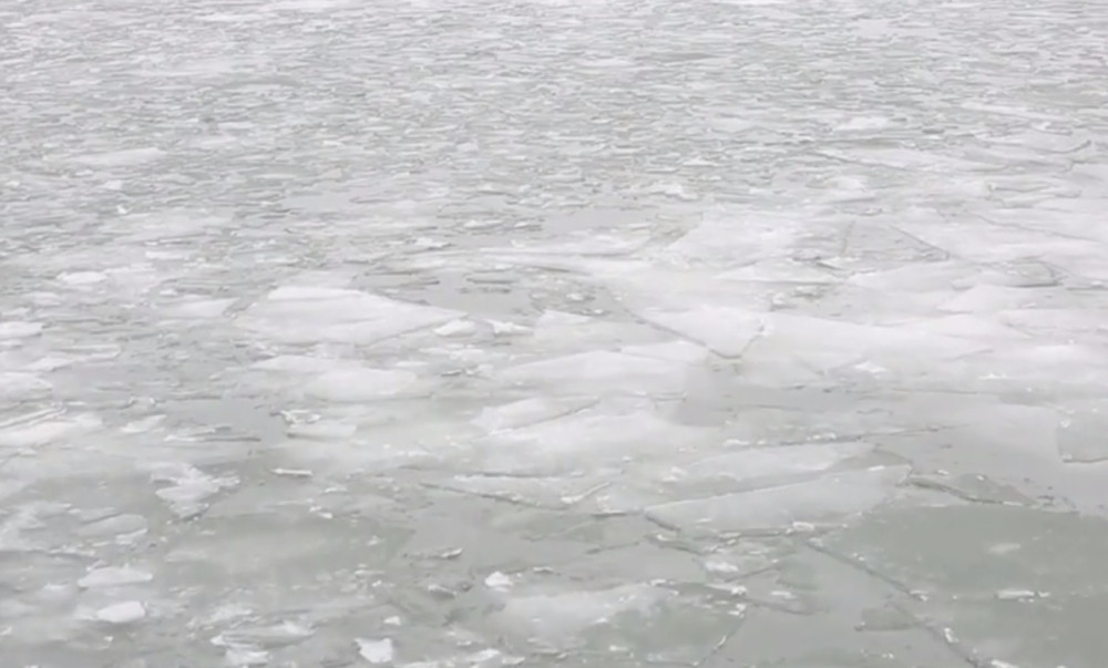 Vera se bacila u ledeni Dunav dok joj je majka bila u kolima!