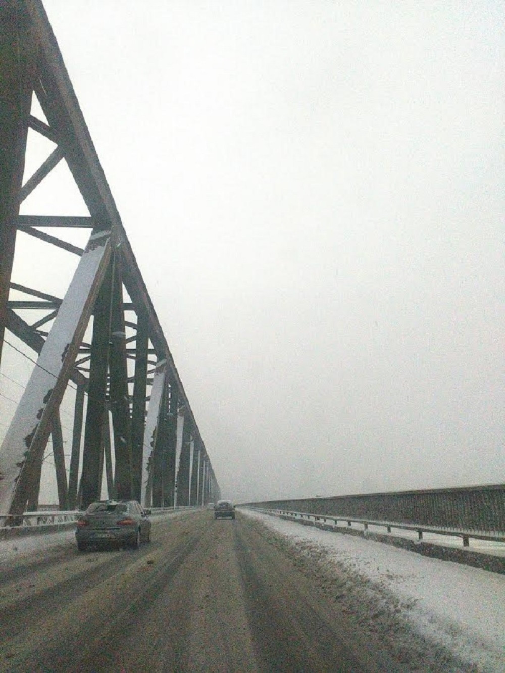 Muškarac hteo da skoči sa Pančevačkog mosta!