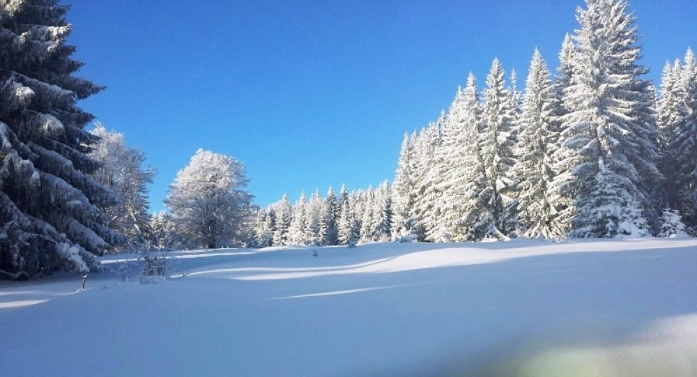 Spasili bolesnog starca sa Golije