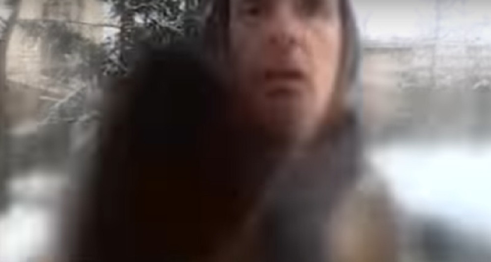 Lepi Mića napao novinare! (VIDEO)