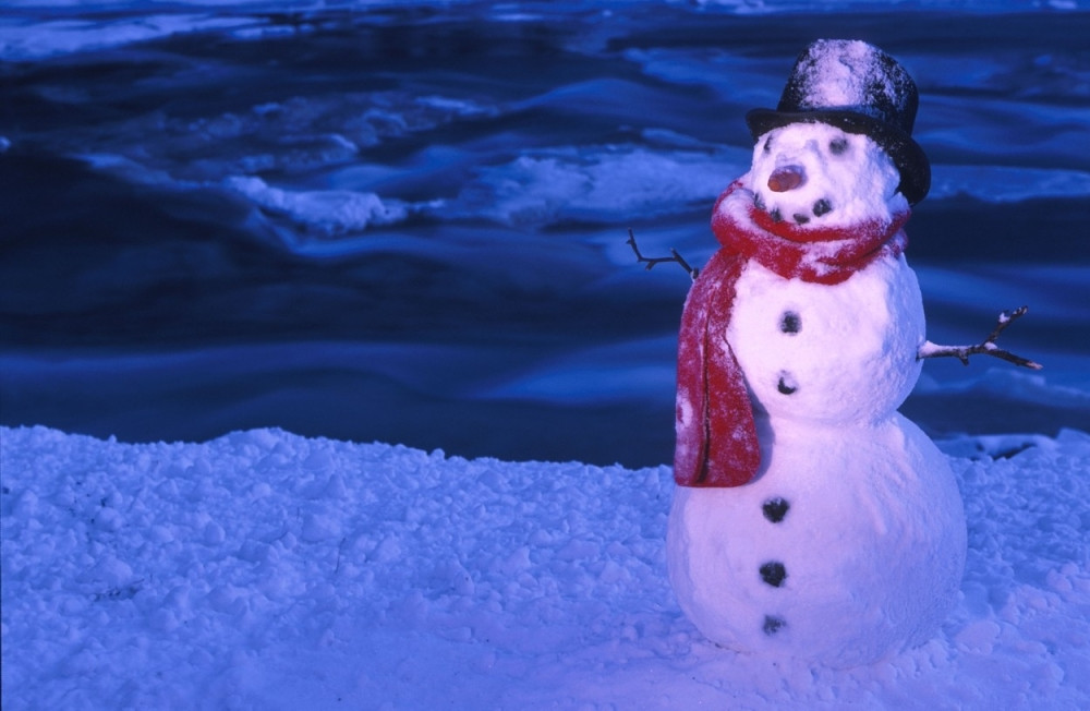 Sneško zaustavio voz!