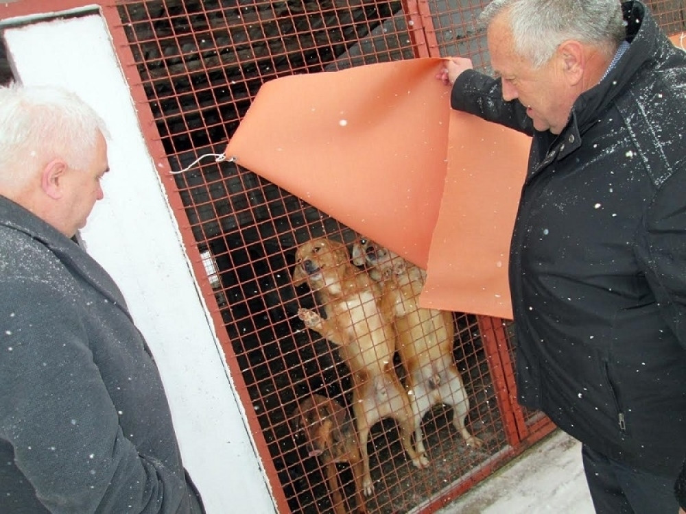 Šta ovo rade jadnim životinjama!? (FOTO)