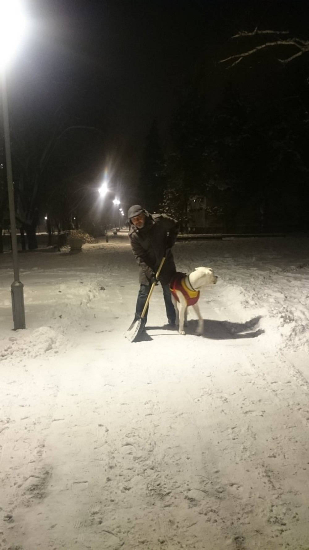 Janković se prihvatio lopate!