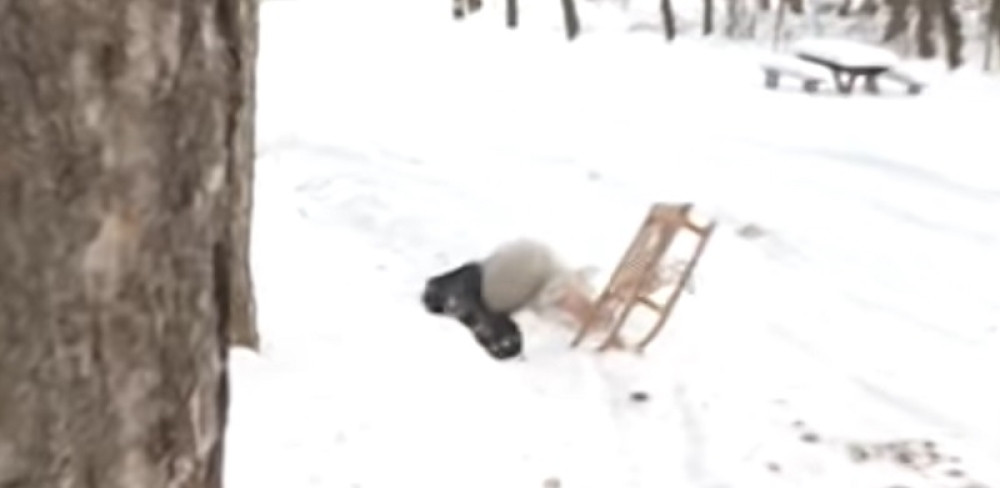 Jelena Golubović se povredila na sankanju! (VIDEO)