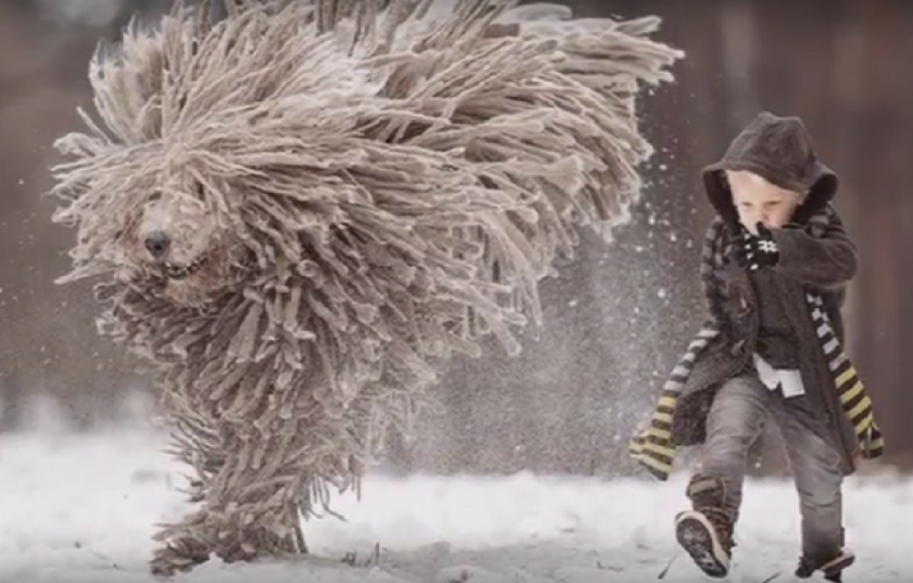 Predivna igra dečaka i psa na snegu (VIDEO)
