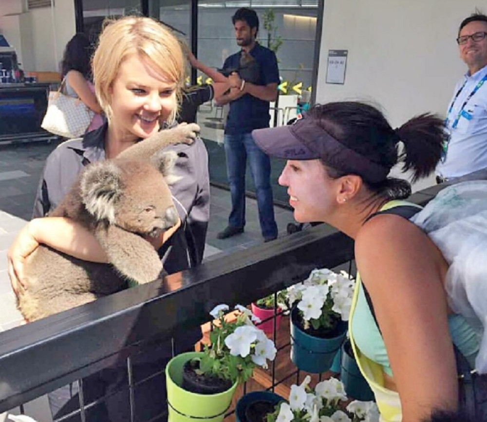 Jelena: Koala se uplašila od mene