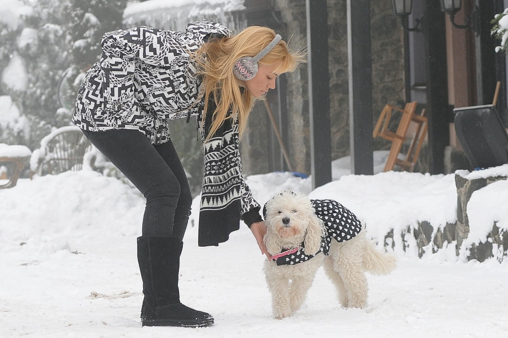 Nataša od kuće napravila azil