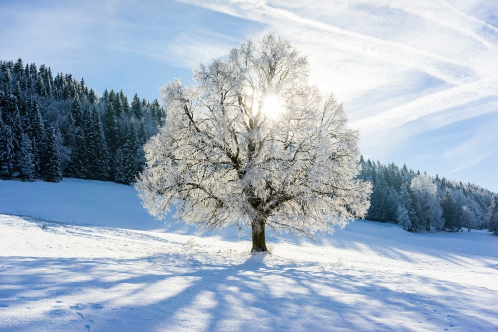 Evo ko da ne izlazi iz kuće