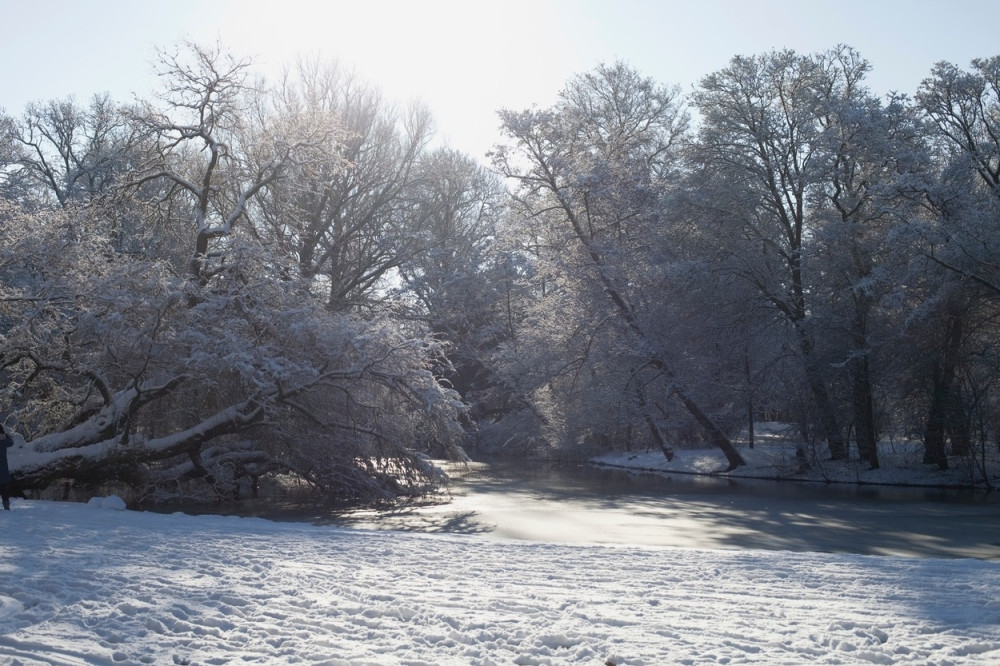 Smrzao se, pa ga pojele zveri!