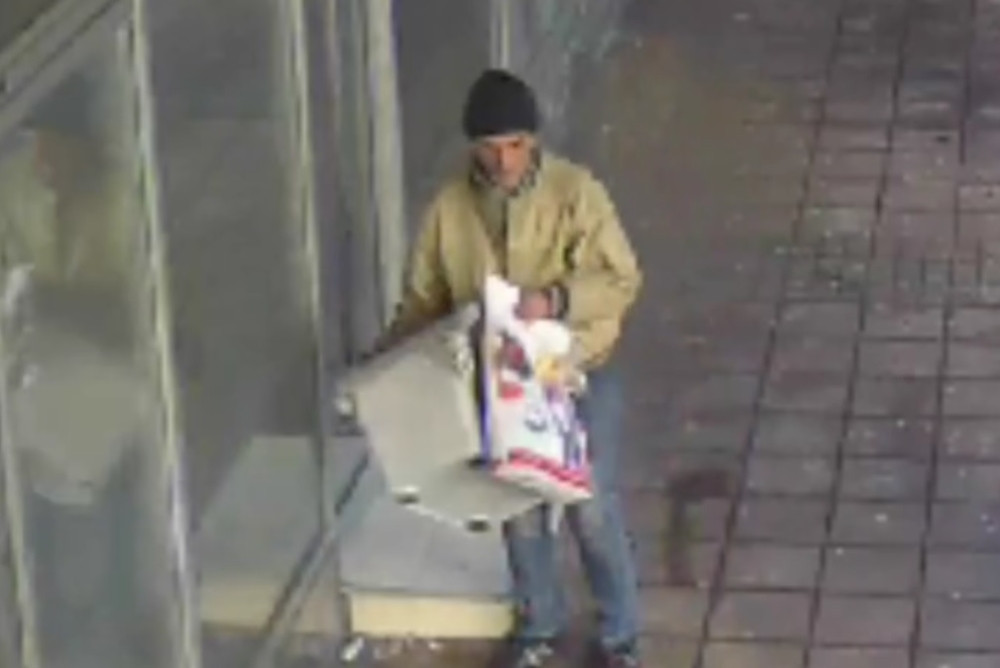 Pa šta će ti kućica za lutalice, junošo?! (VIDEO)