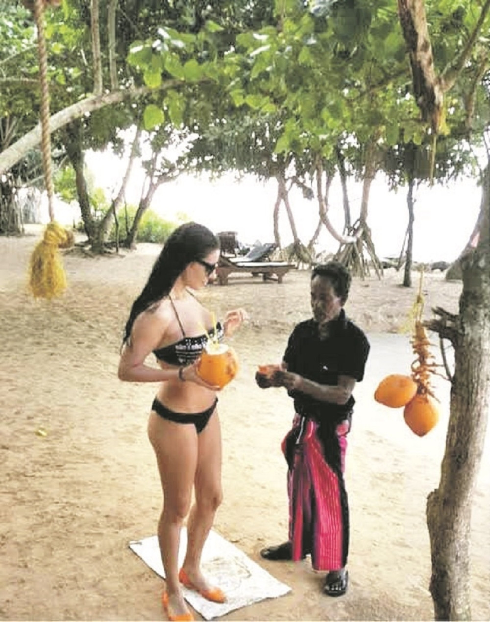 Mia pobegla na Šri Lanku (FOTO)